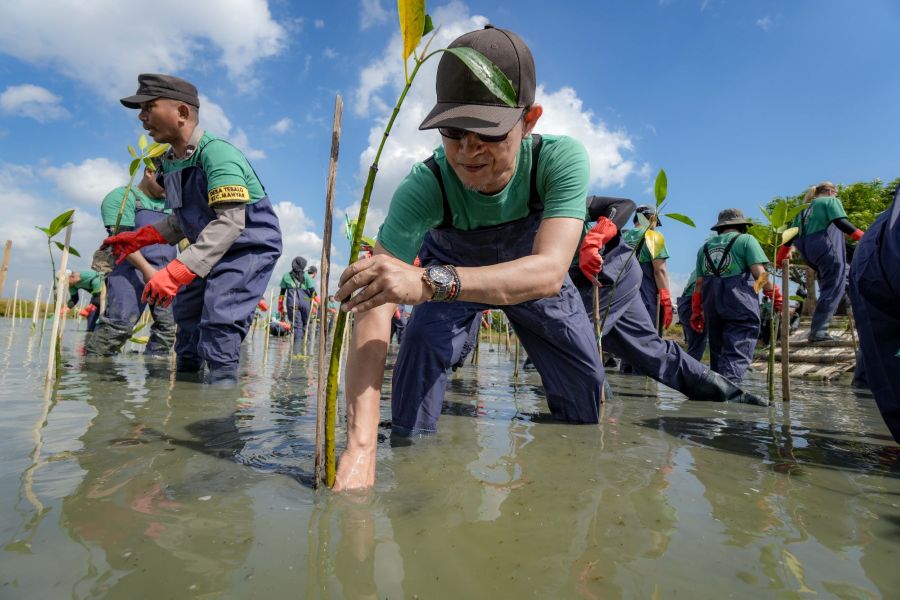 This mangrove planting activity is part of the World Environment Day 2026 commemoration series