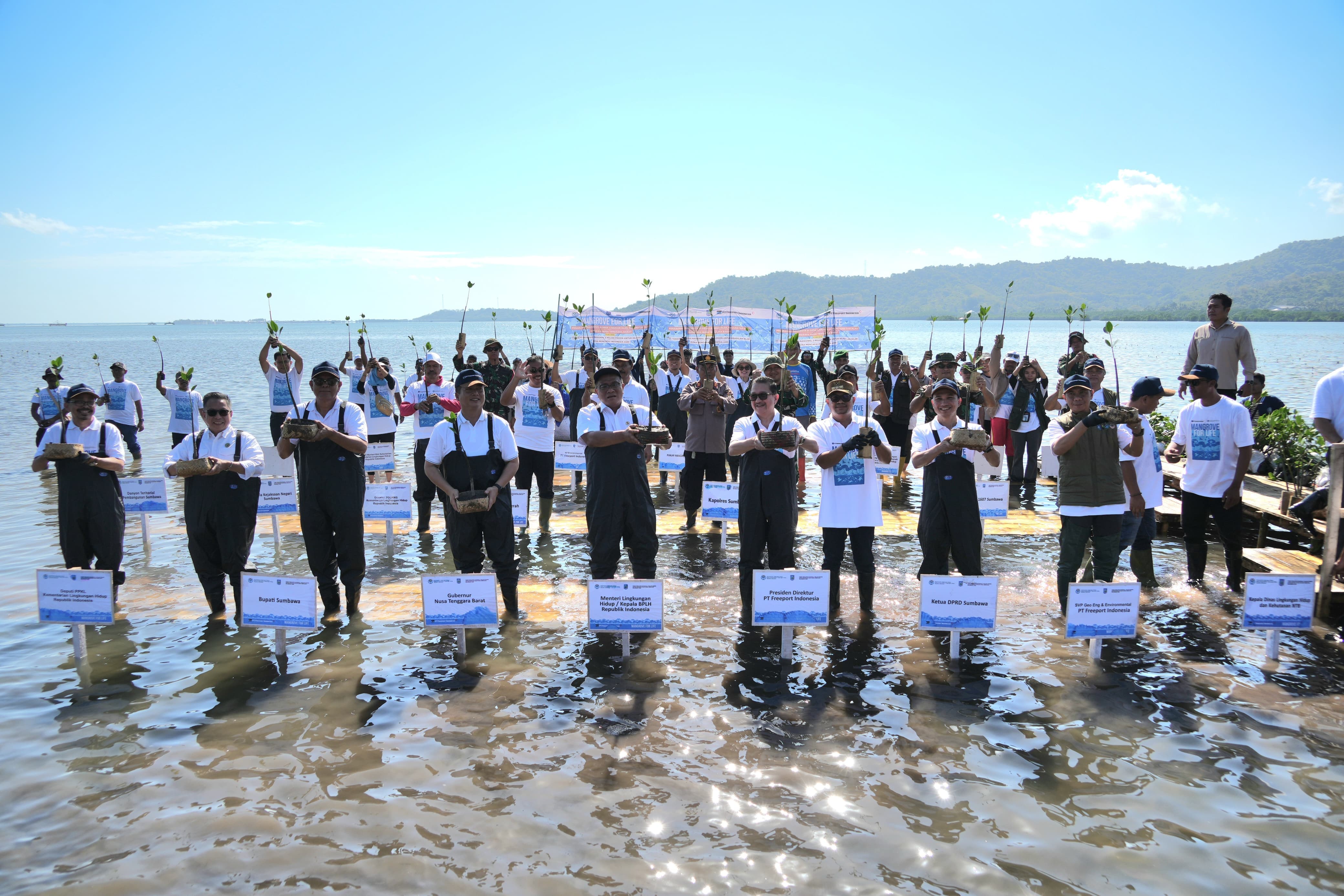 Menteri LH, Dirut PTFI, Gubernur NTB tanam mangrove di Sumbawa, rampungkan 1,5 juta bibit (7/7). 