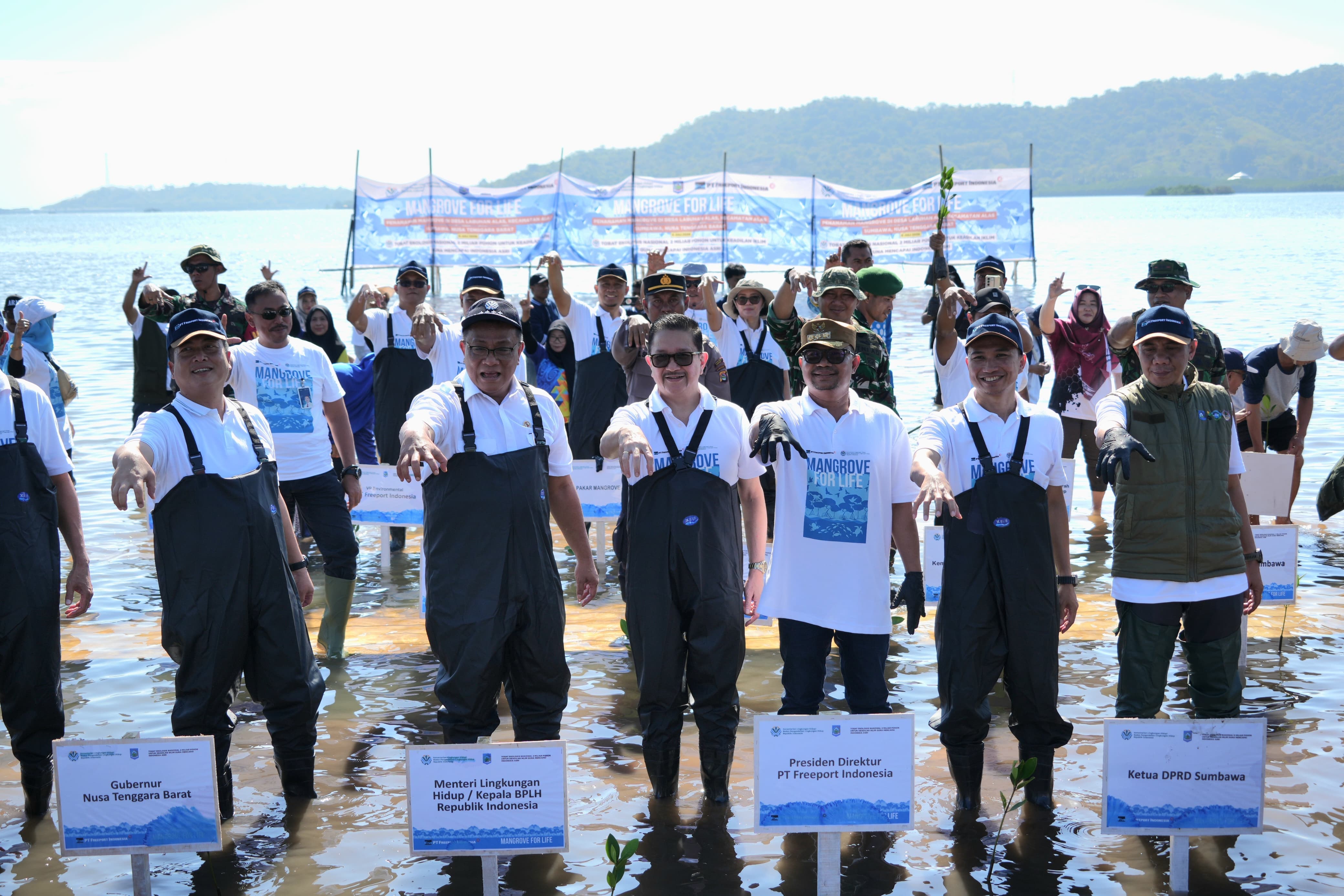 Perkuat Ketahanan Pesisir, Freeport dan Kementerian Lingkungan Hidup Tanam 1,5 Juta Mangrove di NTB