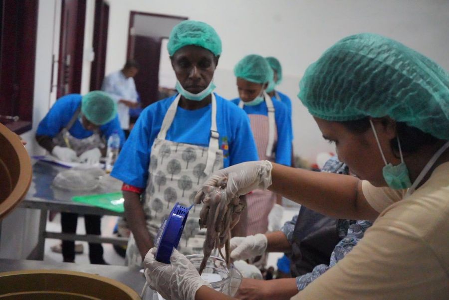 One of the training sessions involved processing tambelo into high-protein crackers.