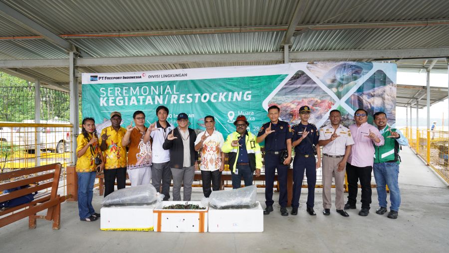 The restocking of barramundi and mangrove crabs was carried out by PTFI with the Dinas Perikanan 